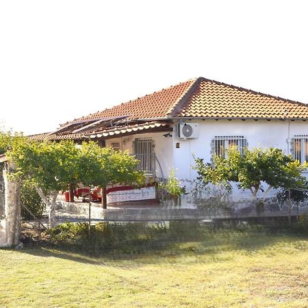 Amarantos Beautiful Garden House Villa Metokhion Patriotikon Екстериор снимка